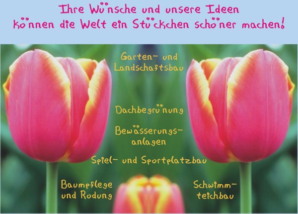 bild3jpg
